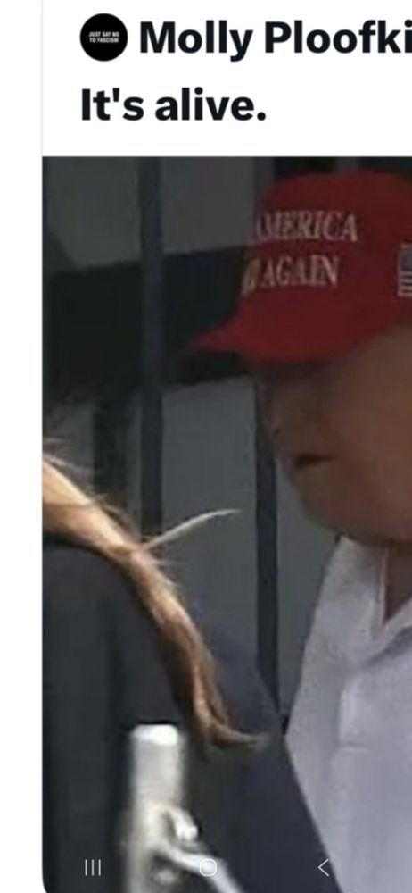 Close crop of earlier posted image. There is a weird hairy beige/brown tendril sort of thing reaching toward tuRnup.