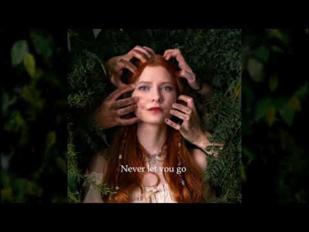 Bears & Wolves // Lyric Video