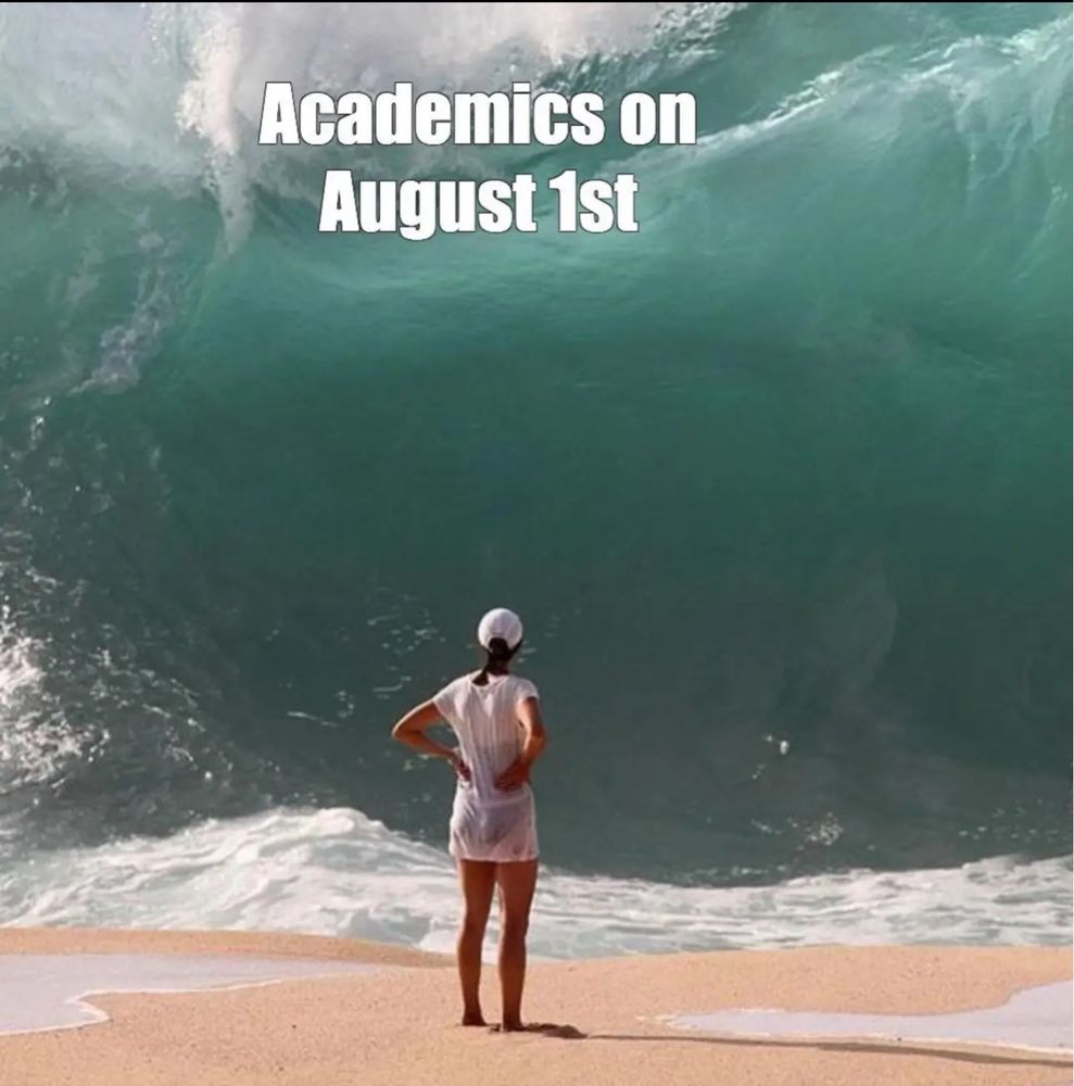 Woman on beach staring at giant wave (tsunami?)