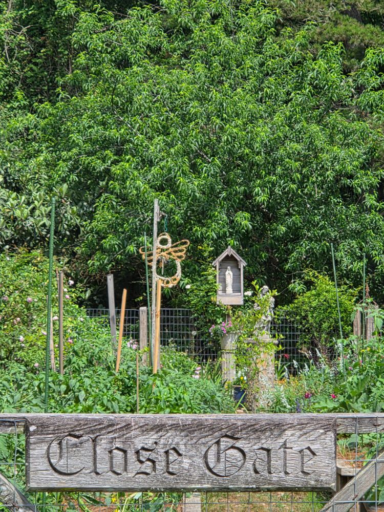 Photo of a garden, a sign reads 'close gate' and a statue of Mary stands in the back
