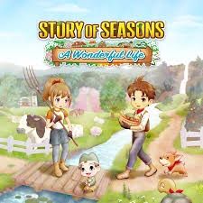 Story of seasons a wonderful life