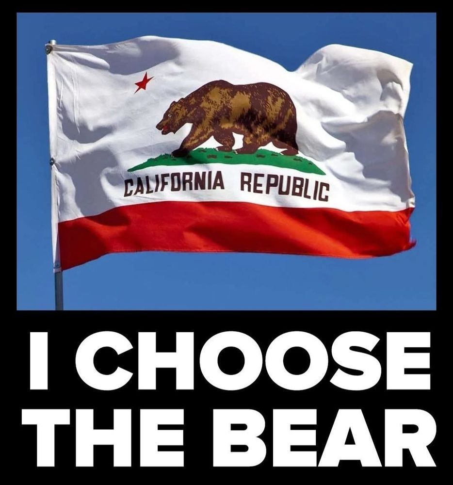 A picture of the flag of California, with the text "I Choose The Bear" underneath. 

The California flag features a field of white charged with a brown grizzly bear walking on a patch of green grass at the flag's center. Below the bear, the words “California Republic” are inscribed. A red stripe spans the length of the fly. A five-pointed red star is placed in the flag's upper left.