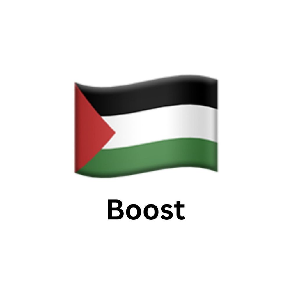 Palestinian flag with the word "Boost"