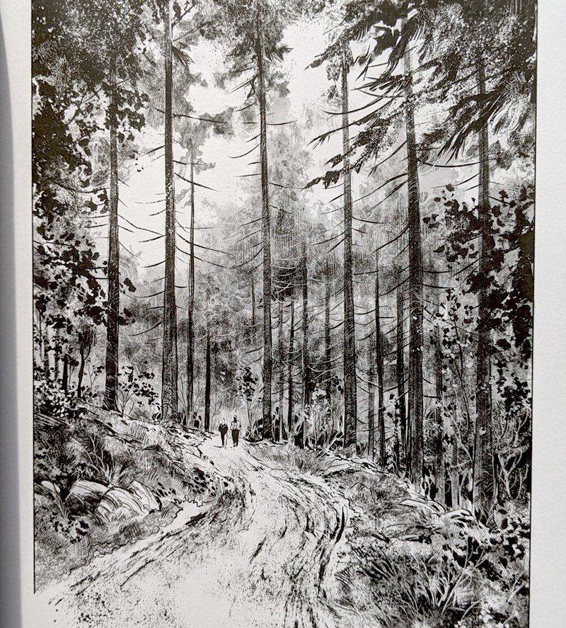 Un paysage de forêt avec de grands arbres aux troncs élancés domine un chemin, sur lequel marchent tout au bout deux petites silhouettes. Encre sur fond blanc.