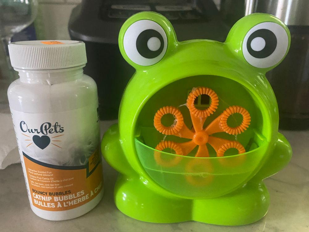 catnip bubbles with a frog bubble blower