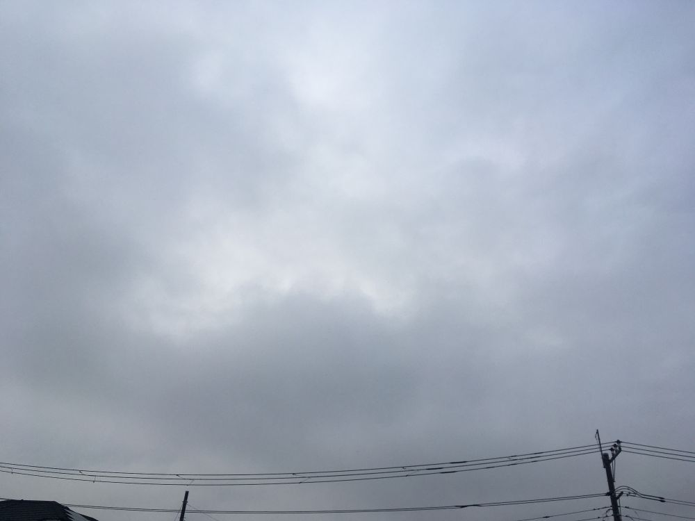 今朝の空、どんより曇り、雨が降っている。
