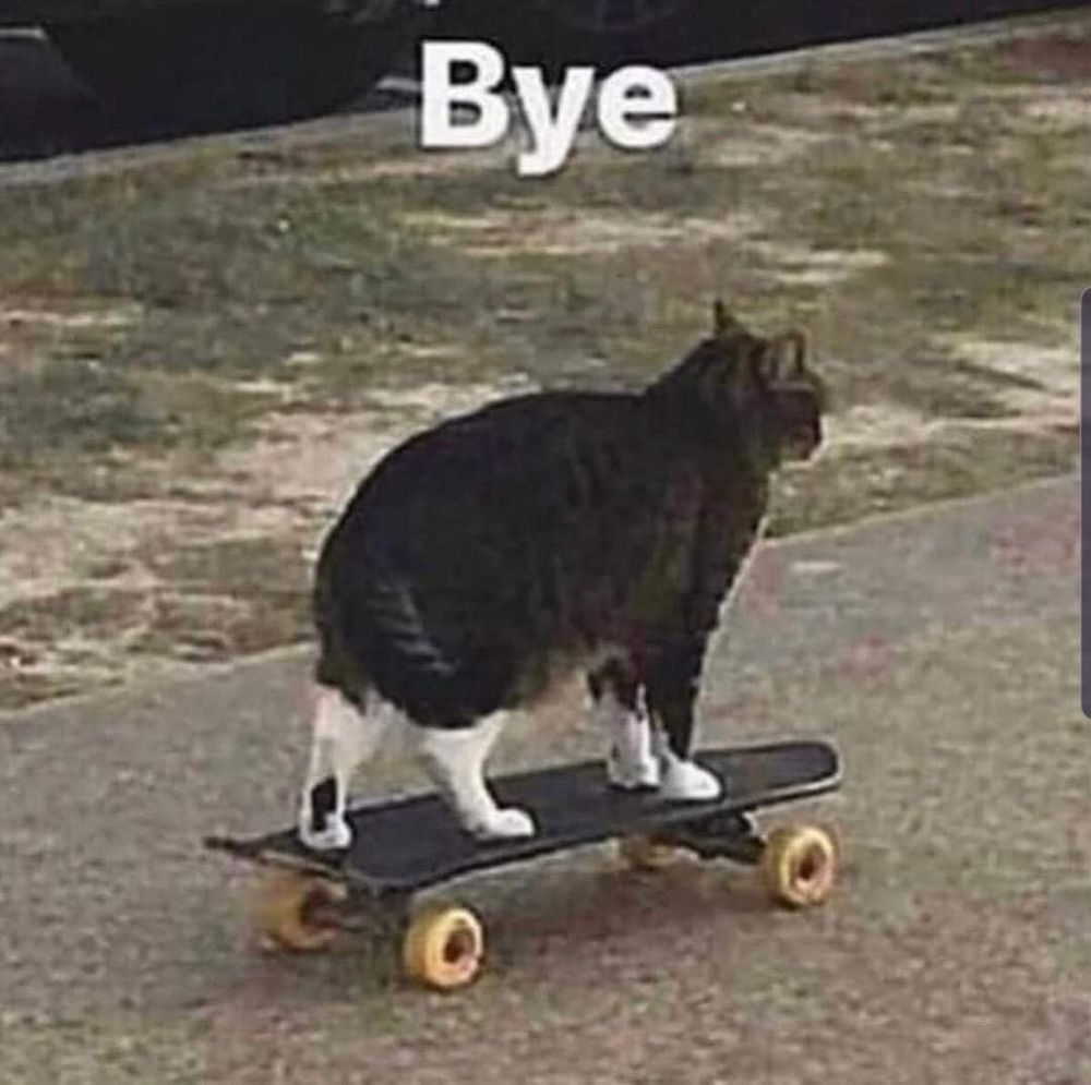 A tabby cat with white feet and paws, ears back to indicate annoyance, tail mid-swish, is on a skateboard heading away from the viewer. White at the top of the image simply says Bye.