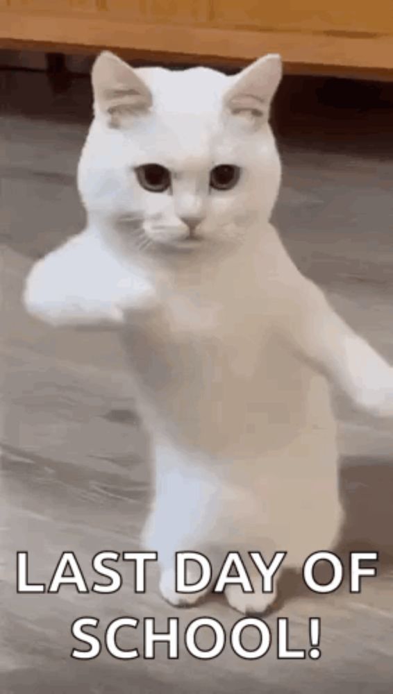 a white cat is standing on its hind legs and giving a fist bump .