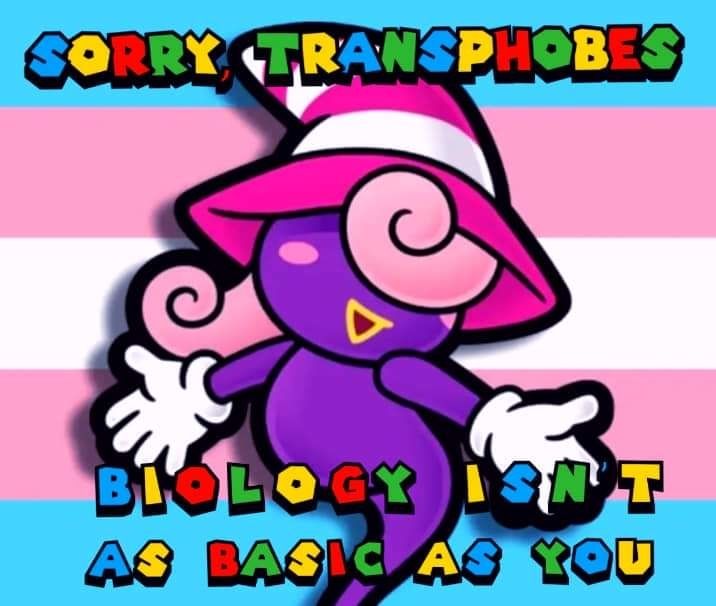 Vivian from Paper Mario: The Thousand Year Door in front of the transgender pride flag. The text reads, "Sorry Transphobes. Biology isn't as basic as you"