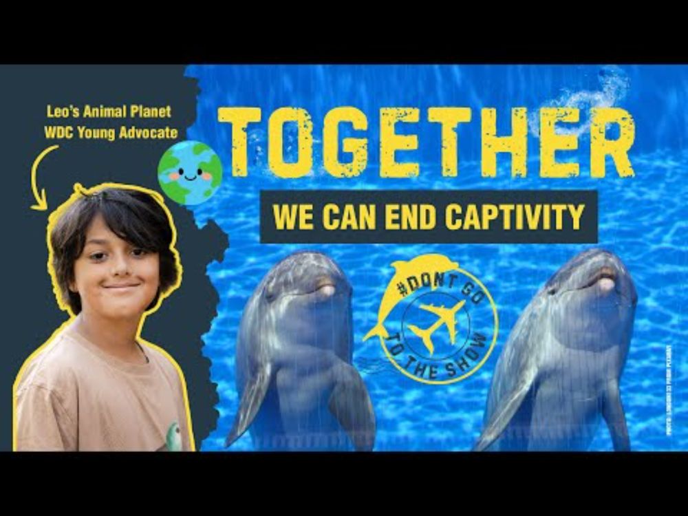 A message from Leo - it's a horror show | Whale and Dolphin Conservation