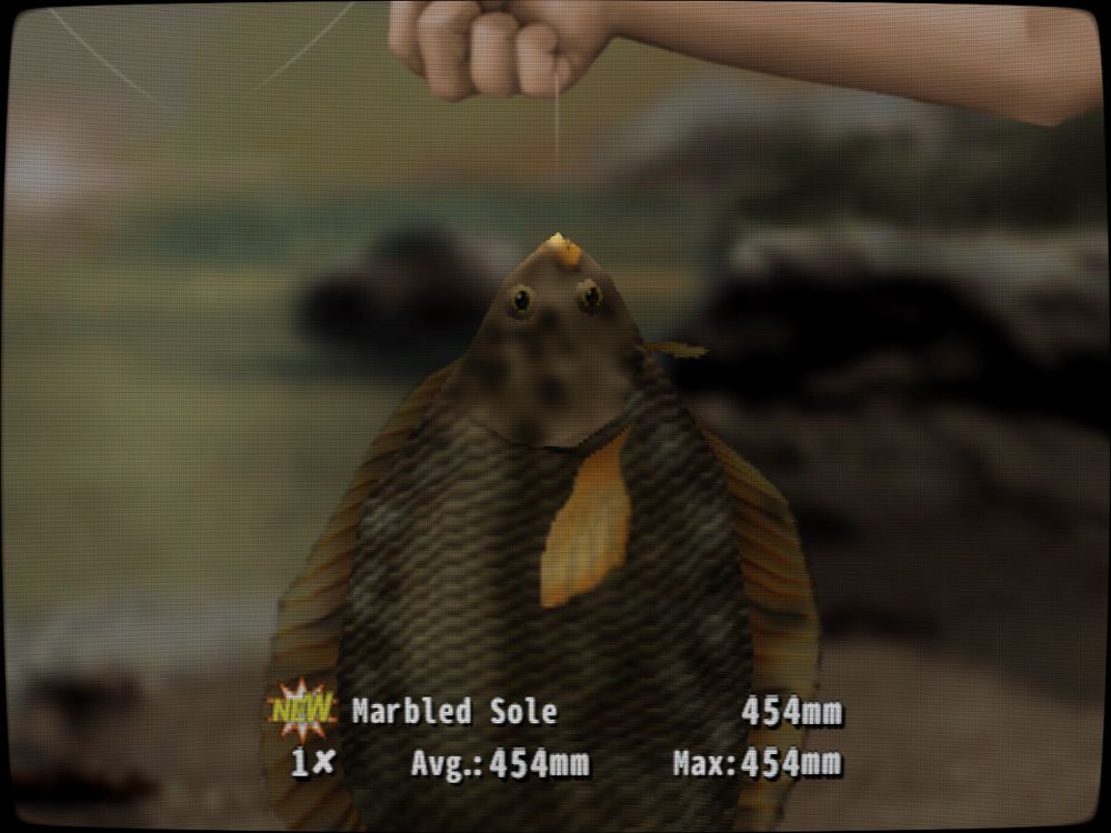 Screenshot of Boku no Natsuyasumi 2, showing a big marbled sole.