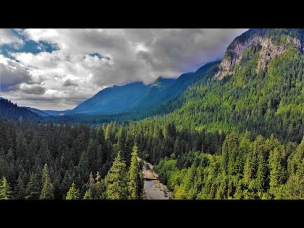 What We Do in the Seymour Watershed