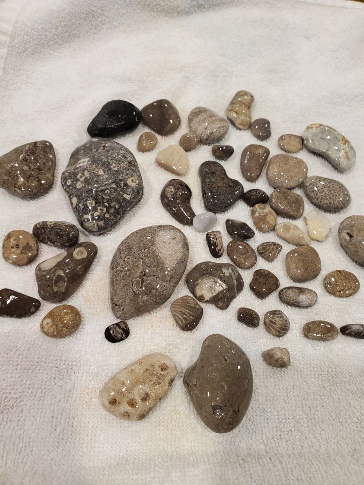 Small grey colored rocks