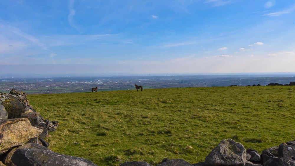 A hillside view overlooking Manchester and Bury in the foreground with Horses over a stone wall in a grass field.