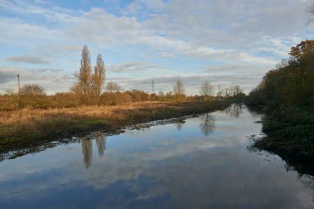 River Tern at Attingham Park, Shropshire ©National Trust Images/Trevor Ray Hart
