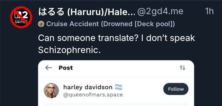 Can someone translate?