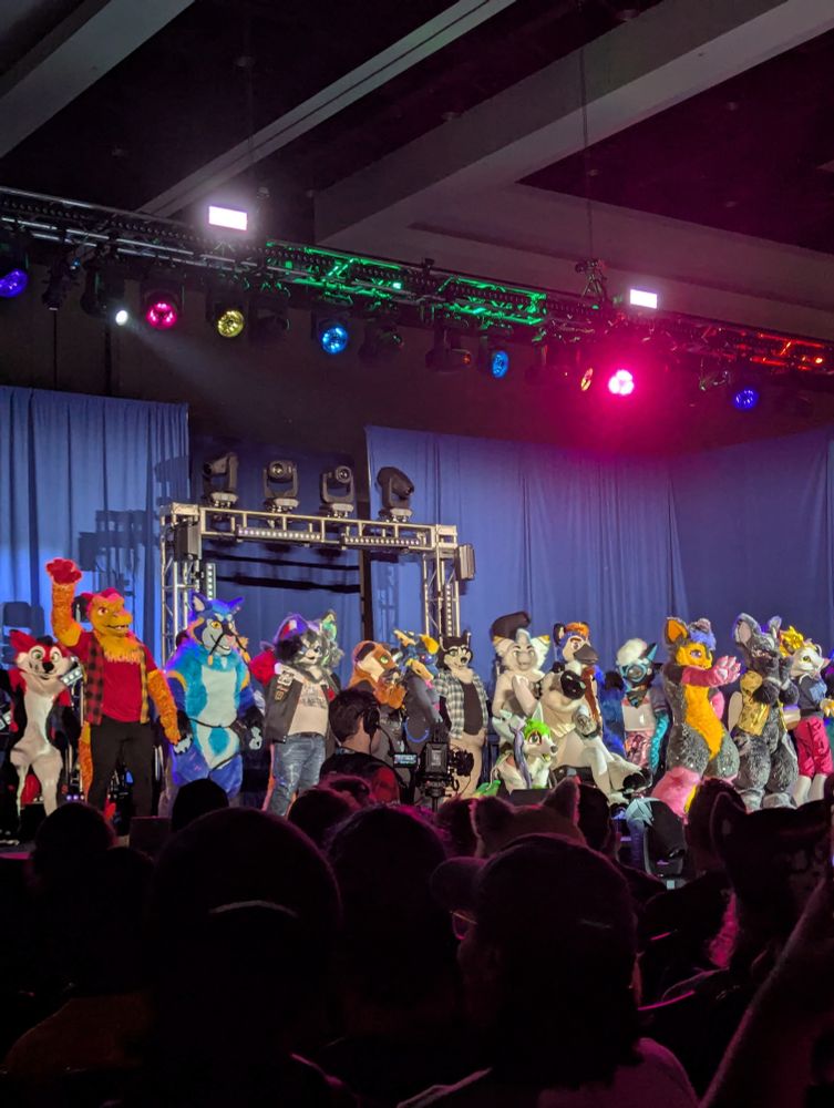 Fursuit dance competition ending