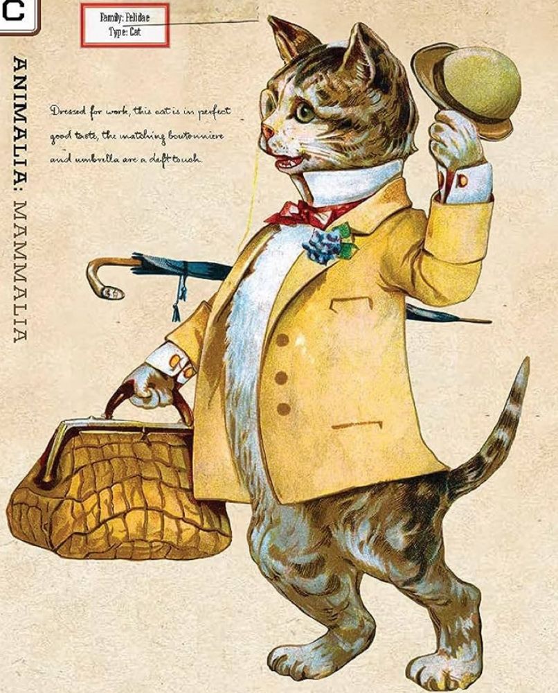 Victorian-feeling illustration of a cat in a jacket and tie with a furled umbrella under their arm and little bowler hat in one paw.