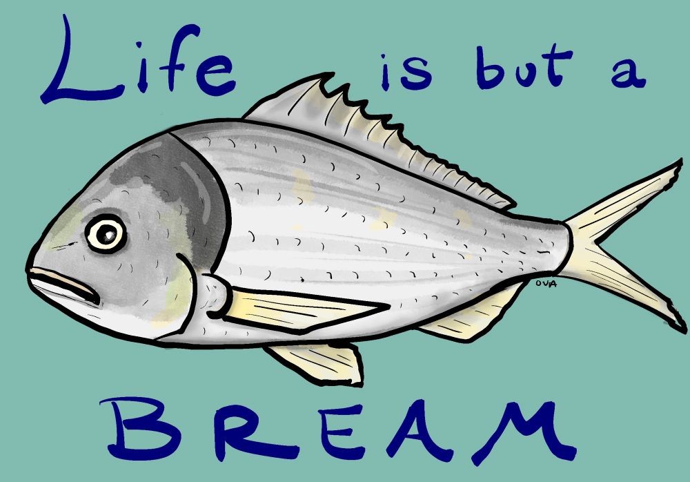 Stylized/cartoony drawing of a sea fish with a slightly dismayed expression; text says “Life is but a bream.”
