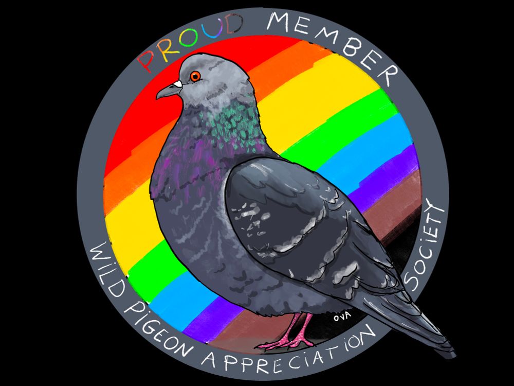 Drawing of a rock dove (side view) on a background of Pride flag colors in a circle that says “Proud member wild pigeon appreciation society”