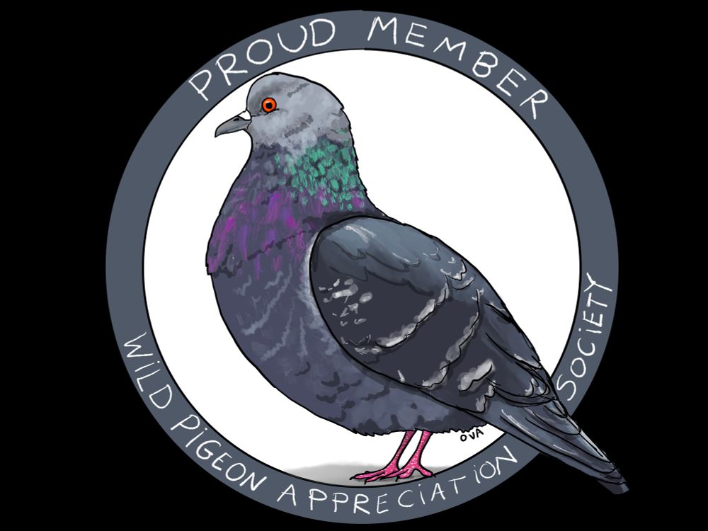 Drawing of a rock dove (side view) in a circle that says “Proud member wild pigeon appreciation society”