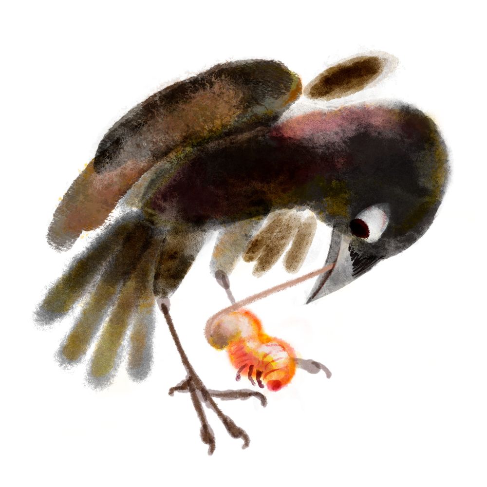 Digital waterpainting of a stylised 'Alalã (Hawaiian Crow) fishing out a fat, yummy grub with a curved stick in its beak. Its plumage is chocolate brown with touches of pink and olive.