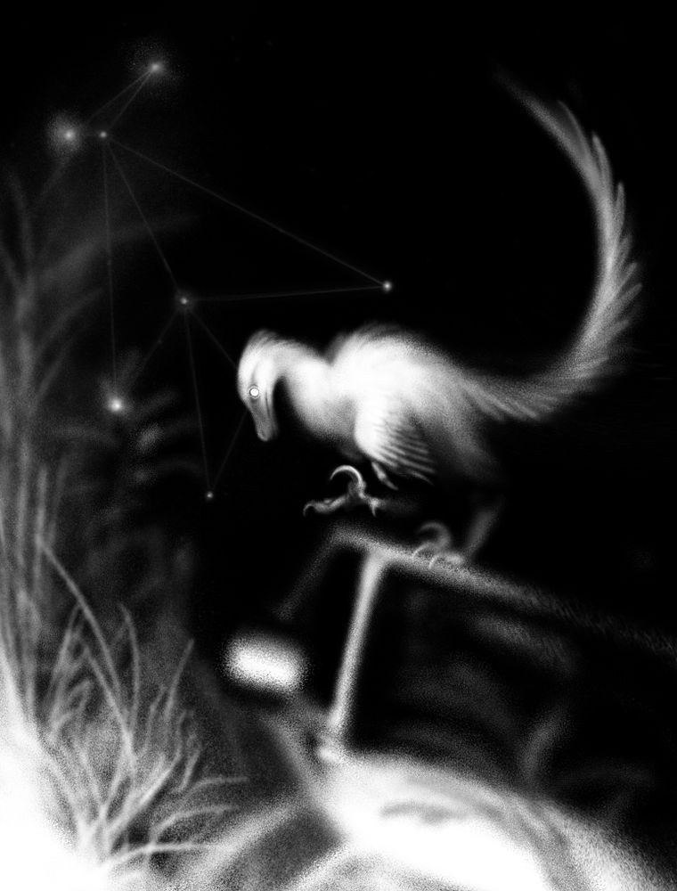 A black and white drawing of a dromaeosaur (raptor) at night. It stands on top of an abandoned car with right foot in the air, talons extended. In  the night sky is the Phoenix constellation, formed by 7 stars and the left eye of the dromaeosaur (in place of the eighth star.)