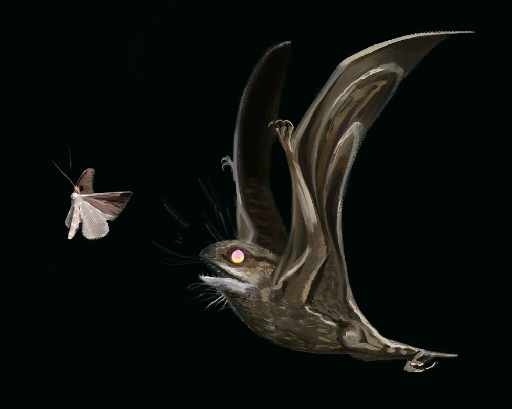 A anurognathus chasing after a moth.