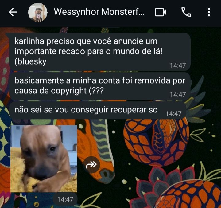 Mensagens do (supostamente) ex-mutual Wessynhor B4dracula no zap: karlinha preciso que você anuncie um importante recado para o mundo de lá! (bluesky
 basicamente a minha conta foi removida por causa de copyright (???
não sei se vou conseguir recuperar so
*Figurinha de cãochorrinho deitadinho encarando a pessoa gravando, o que, numa perspectiva antropocentrista, dá a entender que está borocoxô ou fazendo manha.*