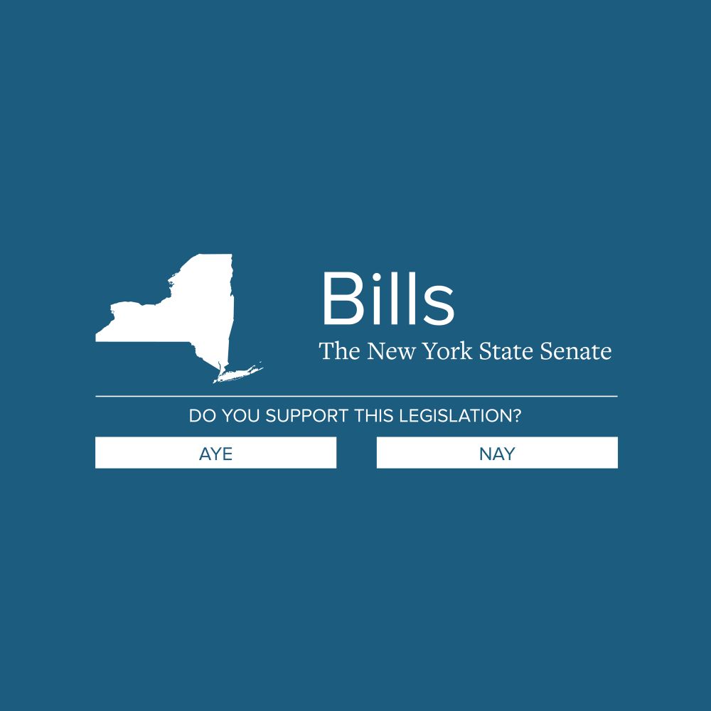 NY State Senate Bill 2023-S162