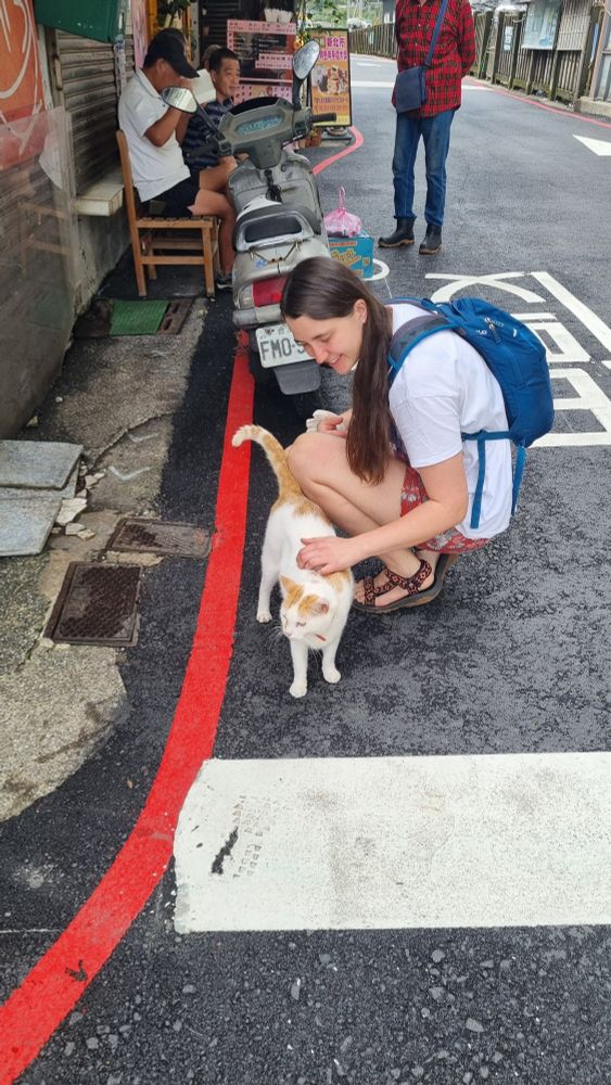 A young woman stroking a cat 