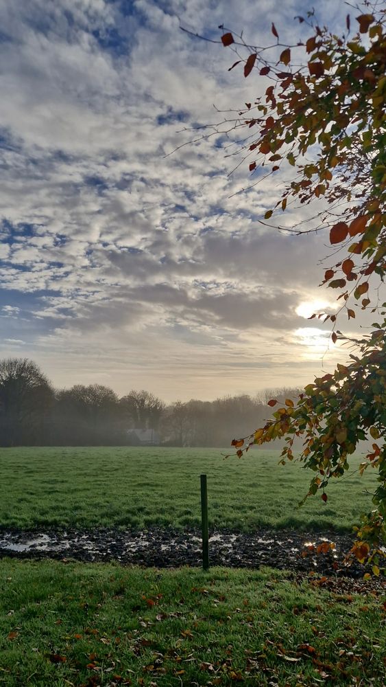 Fields and morning sky 