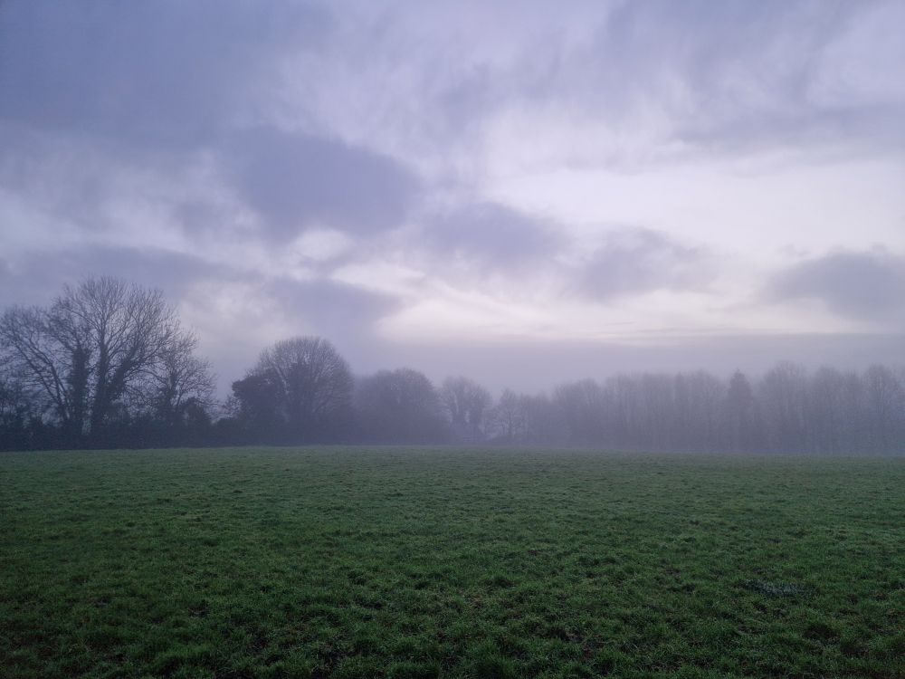 Sun rising through mist 