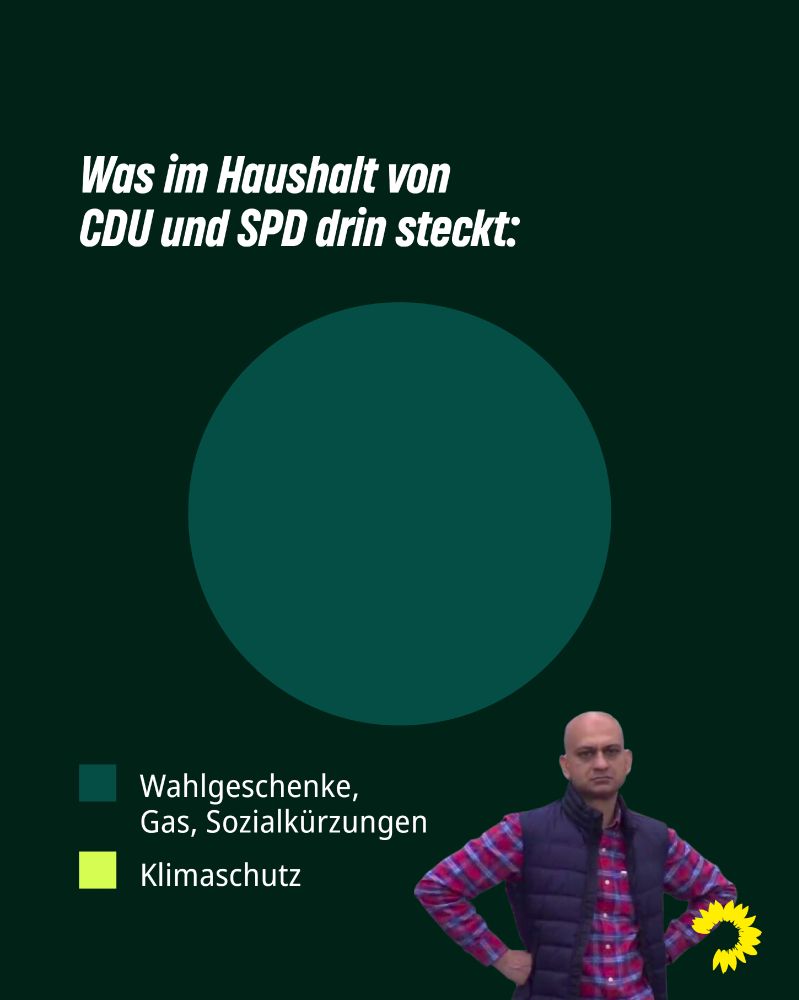 Die Überschrift lautet „Was im Haushalt von CDU und SPD drin steckt:“
Auf dunkelgrünem Hintergrund ist ein Tortendiagramm zu sehen welches vollständig in einem Grünton gehalten ist. In der Legende ist dieser Grünton mit „Wahlgeschenke, Gas, Sozialkürzungen“ beschriftet, ein heller Sandton ist beschriftet mit „Klimaschutz“. Unten rechts ist das Meme eines Mannes zu sehen, der empört die Hände in die Hüften stemmt. Rechts unten ist außerdem in klein ein gelbes Sonnenblumenlogo zu sehen.
