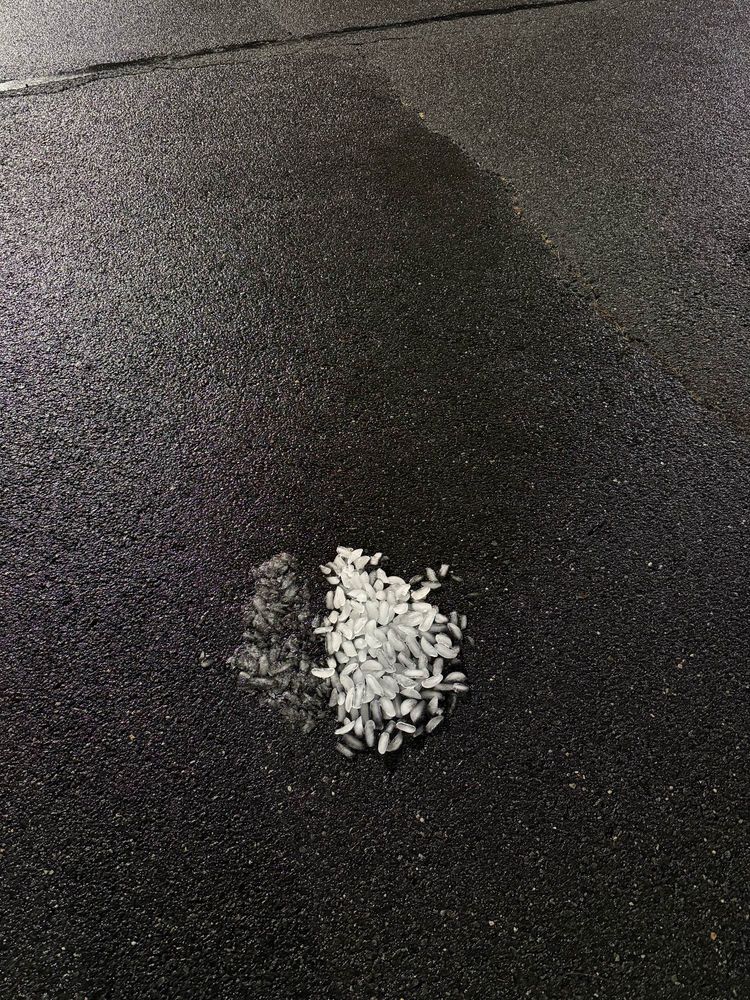 pile of ice from a fridge dumped onto black concrete, which is already wet from the rain, in a parking lot during night.