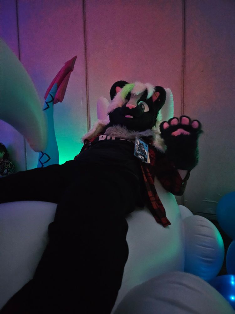 A girl in a skunk partial fursuit waves at the camera while lounging on a pooltoy blank