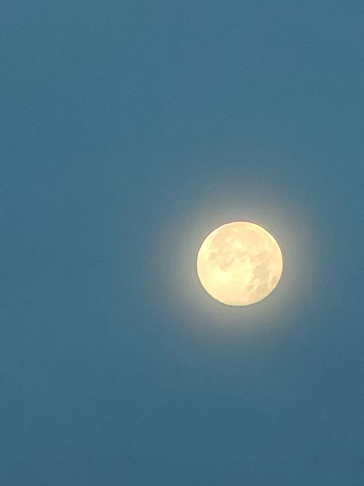 Bright full moon against a pale morning sky