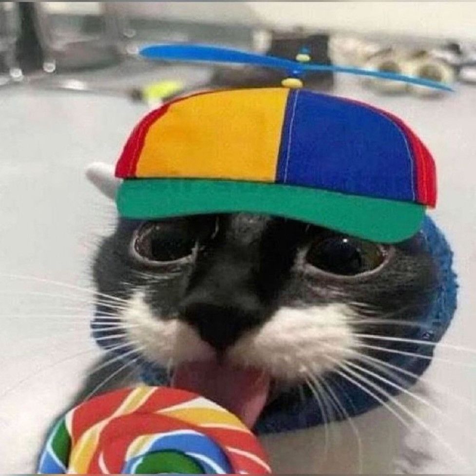 gato lambendo um pirulito com um chapeu colorido que possui um helice 