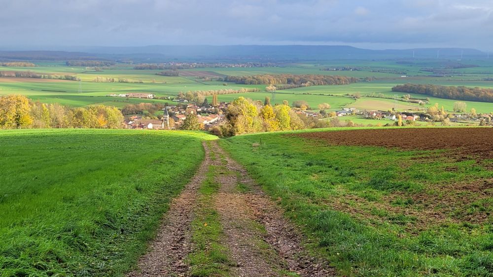 Chemin au dessus de Leyr. Meurthe-et-Moselle 