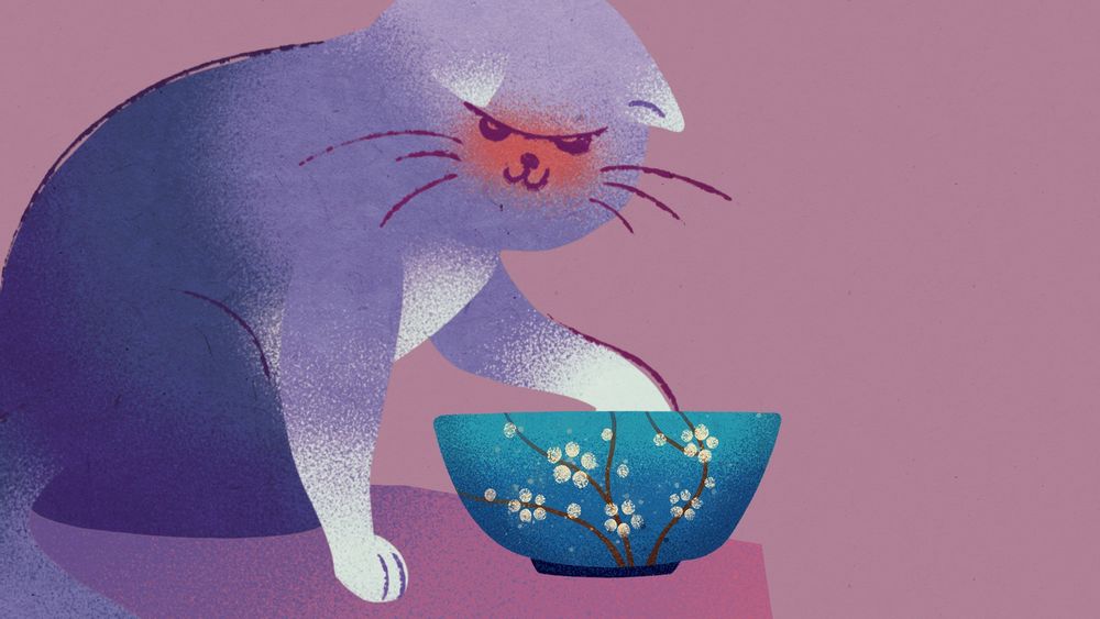 Zrzut ekranu z Mizi NO!