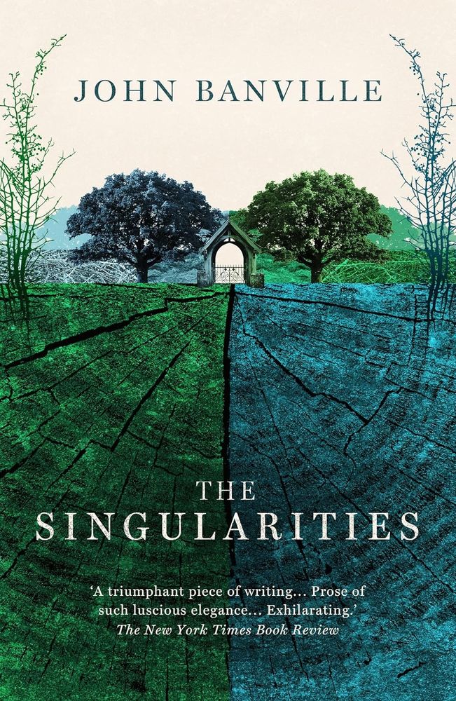 Book cover of 'The Singularities' by John Banville.
