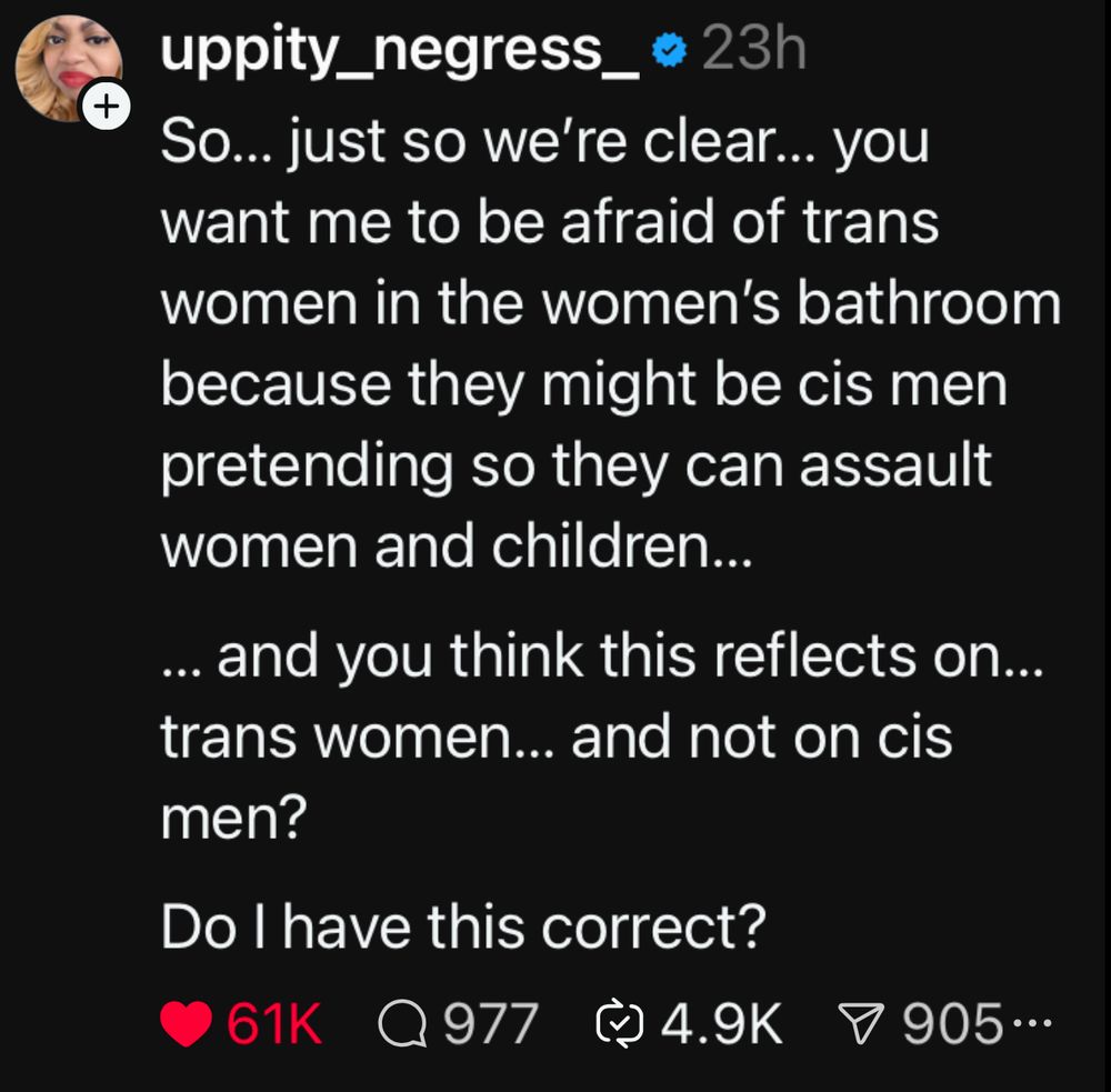 @uppitynegress.bsky.social: 

So...just so we're clear...you want me to be afraid of trans women in the women's bathroom because they might be cis men pretending so they can assault women and children...and you think this reflects on...trans women...and not on cis men?
Do I have this correct?