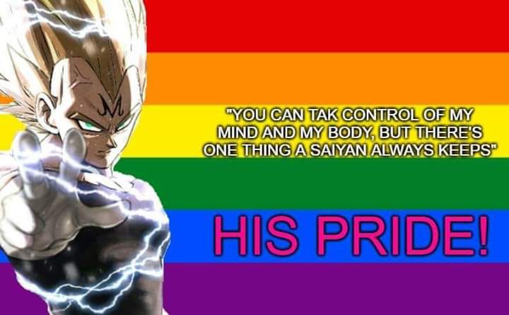Majin Vegeta in front of a pride flag with the quote “You can take control of my mind and my body but there’s one thing a Saiyan always keeps. HIS PRIDE!”