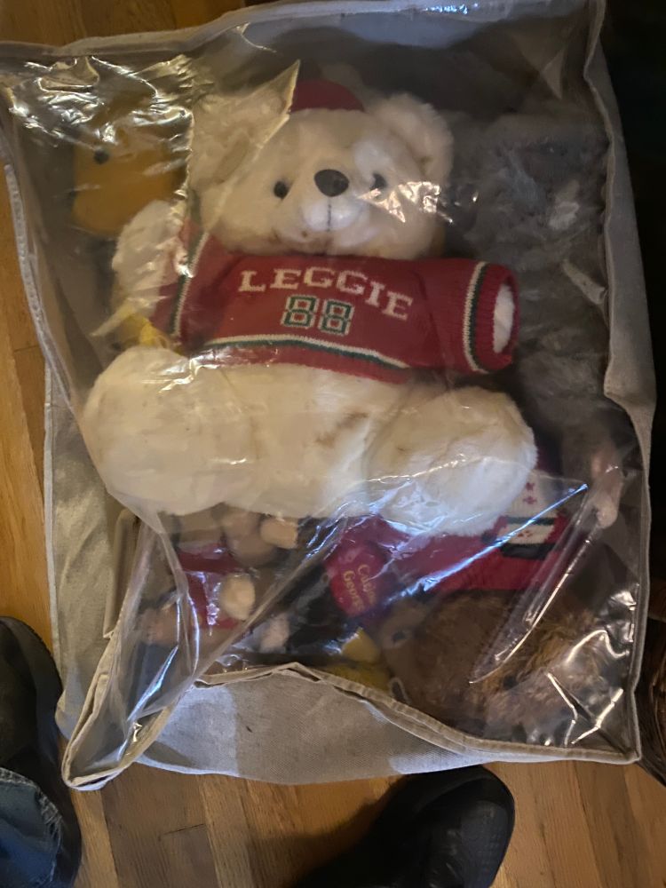 A clear storage pouch contains a variety of stuffed animals, all in some kind of Christmas attire.