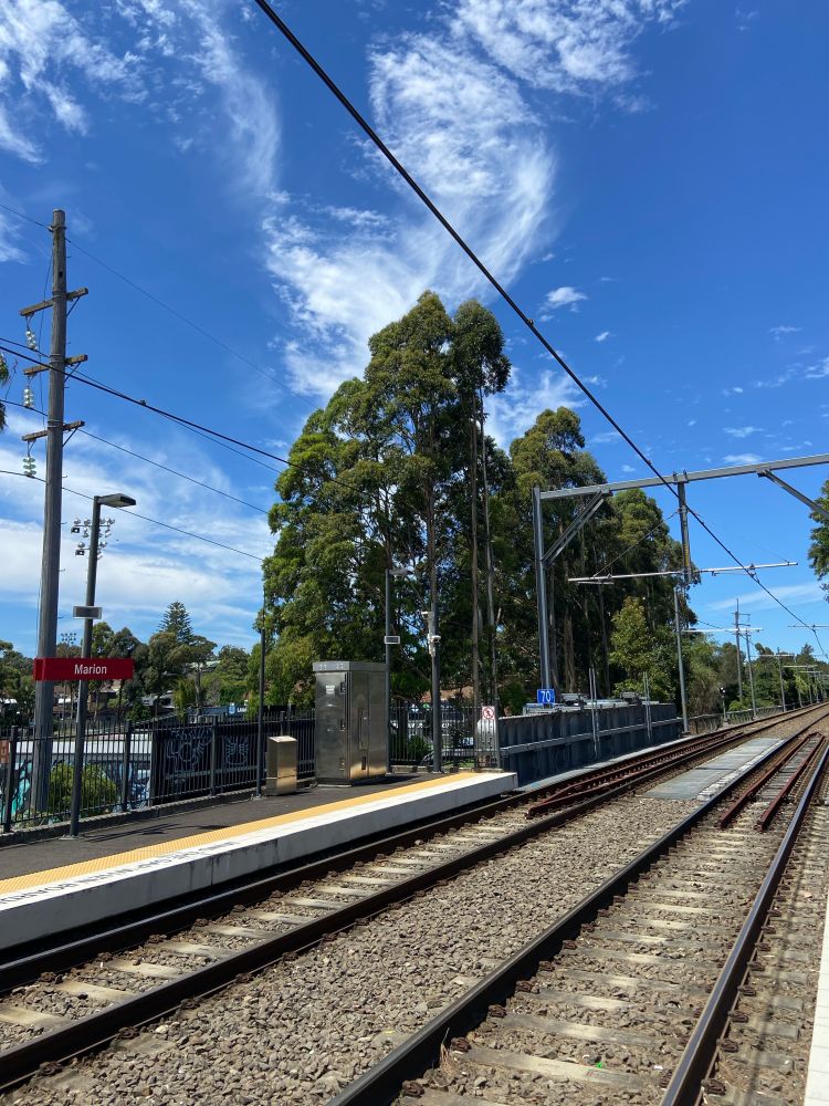 Railway tracks and power lines create a forced perspective that cradles a row of unusually straight eucalypts