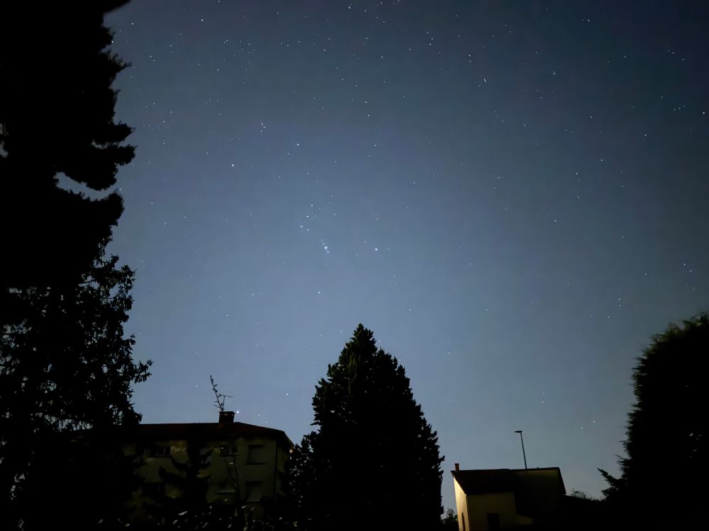Photo d'un ciel étoilé, on peut voir la ceinture d'orion, en-dessous un arbre et des maisons