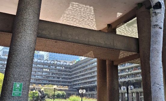 Reflections of water on a wall framed by a pillar and a tree. Flats in the background.