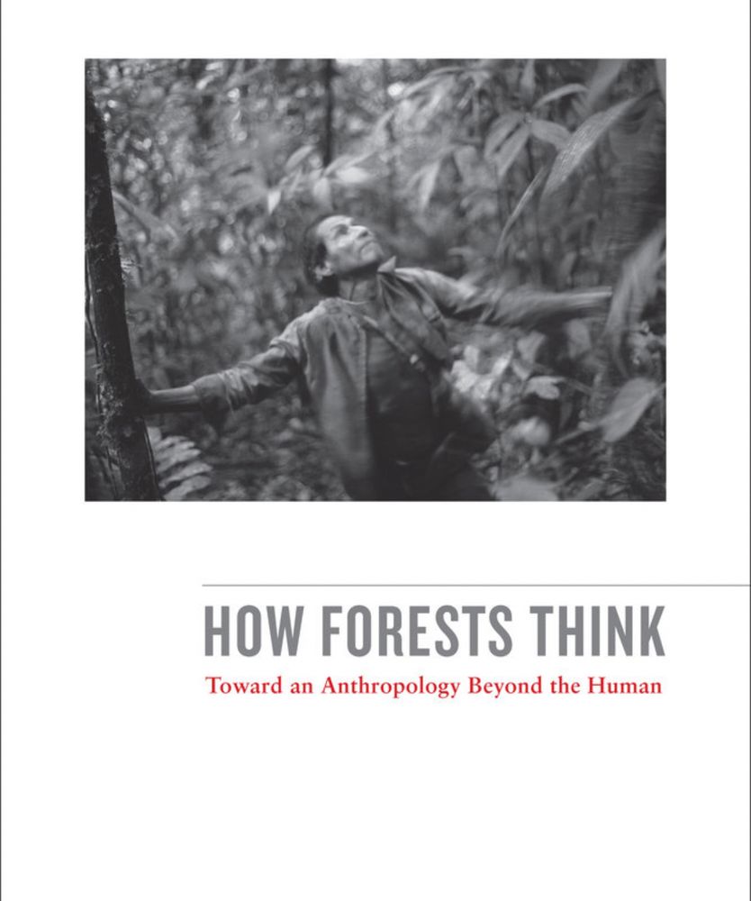 Book cover of the anthropology book ‚How Forests Think‘ by Eduardo Kohn showing a villager from the Runa in Ecuador‘s Amazon lookig up a tree.
