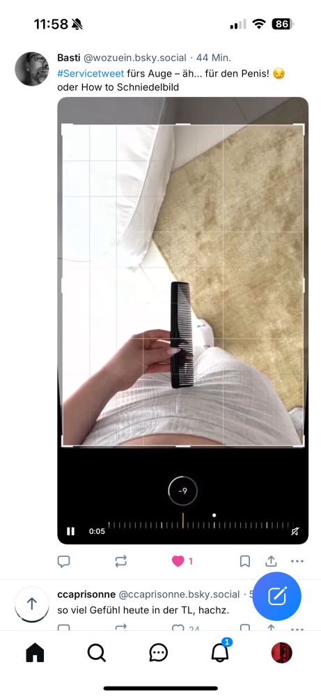 Screenshot zwei BlueSky-Skeets. 
Oben von Basti, ein Foto einer Hose vor die ein Kamm gehalten wird, der einen Schwanz symbolisieren soll. Text dazu „#Servicetweet fürs Auge – äh… für den Penis! 😏 oder How to Schniedelbild“

Darunter ccaprisone mit dem Text „so viel Gefühl heute in der TL, hachz“ 