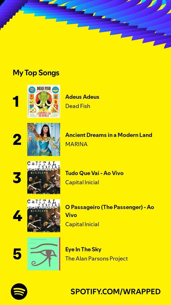 Parte do Spotify Wrapped. Com o seguinte texto:

"My Top Songs

1. Adeus Adeus
    Dead Fish
2. Ancient Dreams in a Modern Land
    MARINA
3. Tudo Que Vai - Ao Vivo
    Capital Inicial
4. O Passageiro (The Passenger) - Ao Vivo
     Capital Inicial
5. Eye in the Sky
    The Alan Parsons Project